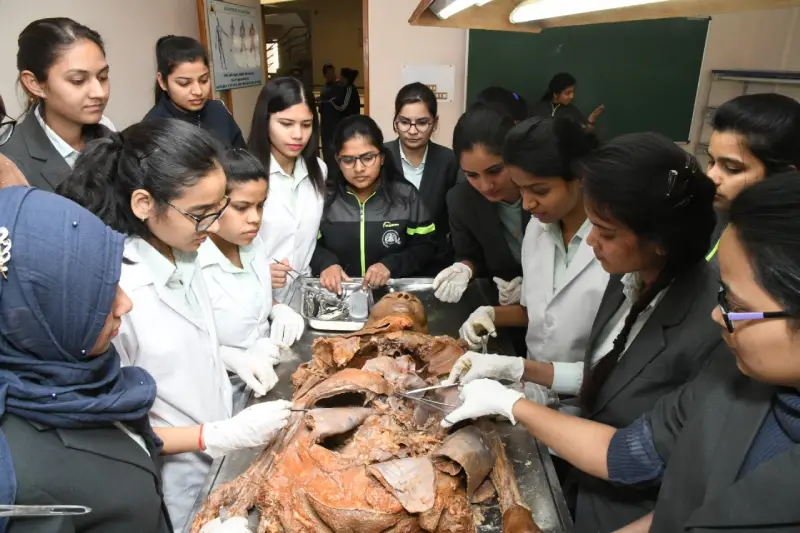 Anatomy_department_shmcnys