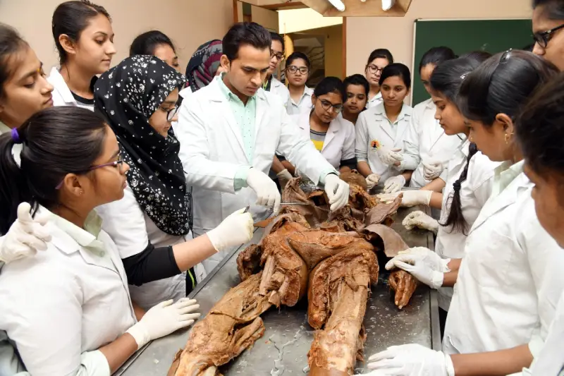Anatomy department