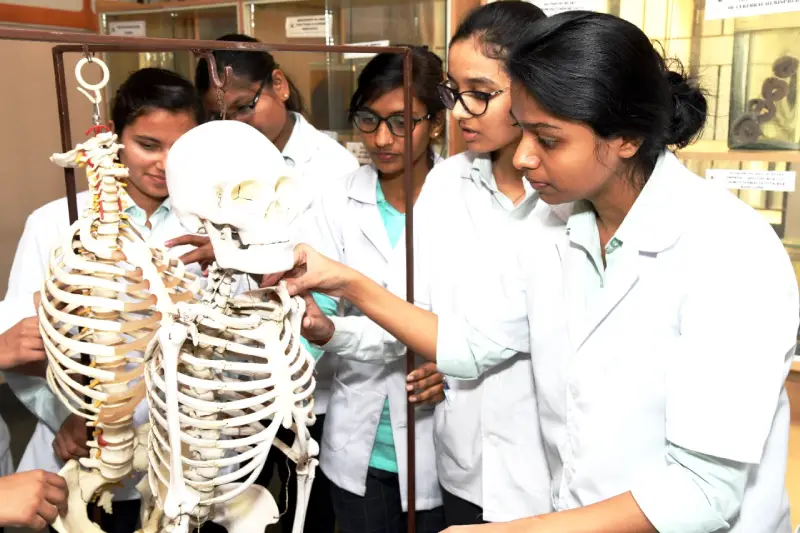 Anatomy_department_shmcnys