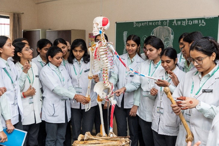 ANATOMY